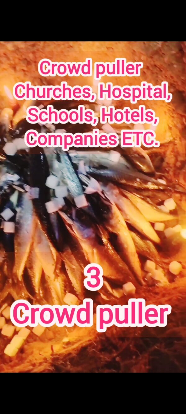 HAIP CROWD PULLER ....Higher Artificial Intelligent Power